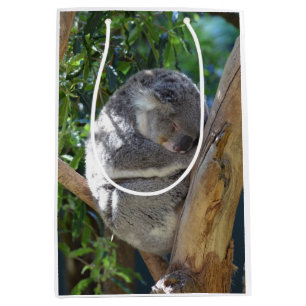 Sacola Para Presentes Média Bonito Dormindo Koala em árvore