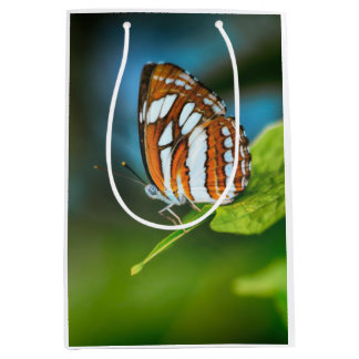 Sacola Para Presentes Média Borboleta branca e laranja riscada