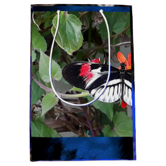 Sacola Para Presentes Média Borboleta cauda de zebra