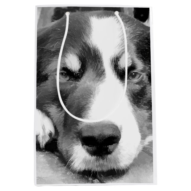 SACOLA PARA PRESENTES MÉDIA BORDER COLLIE (Frente)