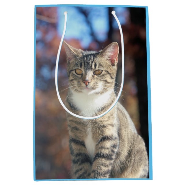 Sacola Para Presentes Média Brin (Frente)