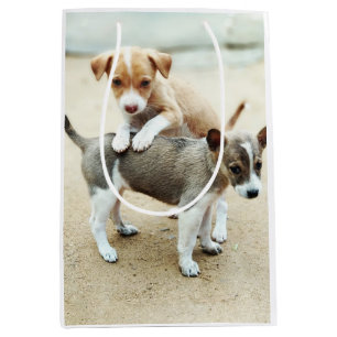 Sacola Para Presentes Média Cachorros Fofos Brincando na Praia