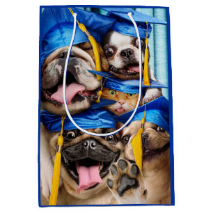 Sacola Para Presentes Média Cães e Gatos Formandos em Cabine de Fotos