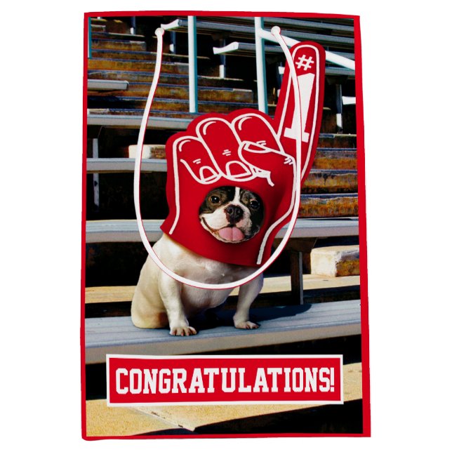 Sacola Para Presentes Média Cão Na Mão De Espuma (Frente)