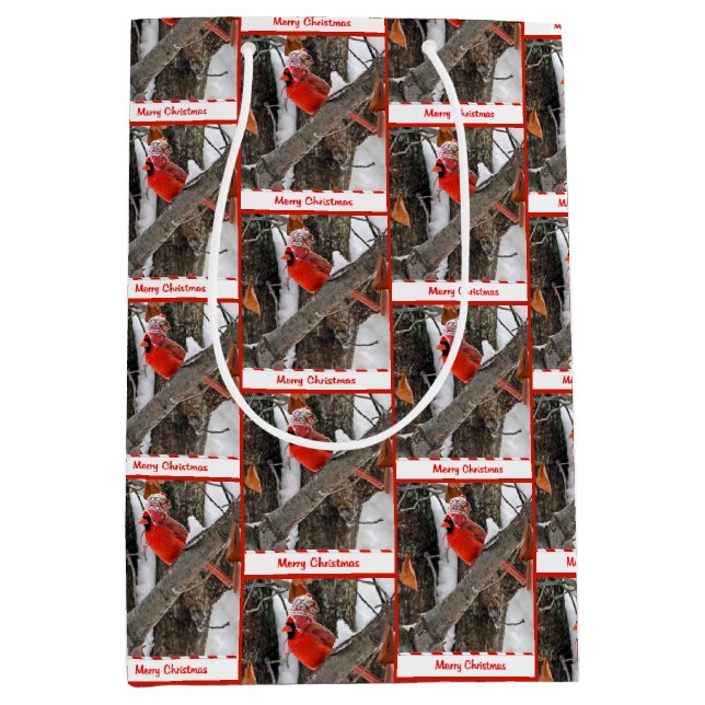 Sacola Para Presentes Média Cardeal de Natal com Boné (Frente)