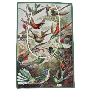 Sacola Para Presentes Média Cartaz Colorido Vintage de Beija-flor de Ernst Hae
