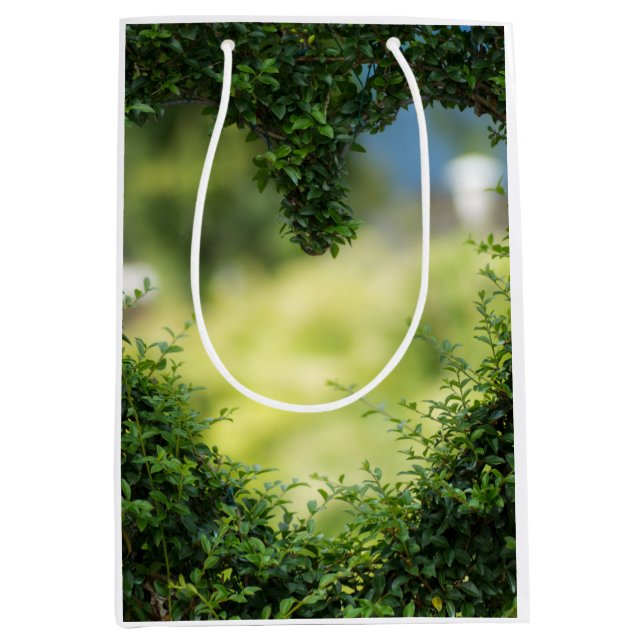 Sacola Para Presentes Média Coração Tópico Verde (Frente)