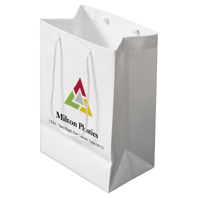 Sacola Para Presentes Média Corporate Gift Bag with Company Logo (Frente inclinada)