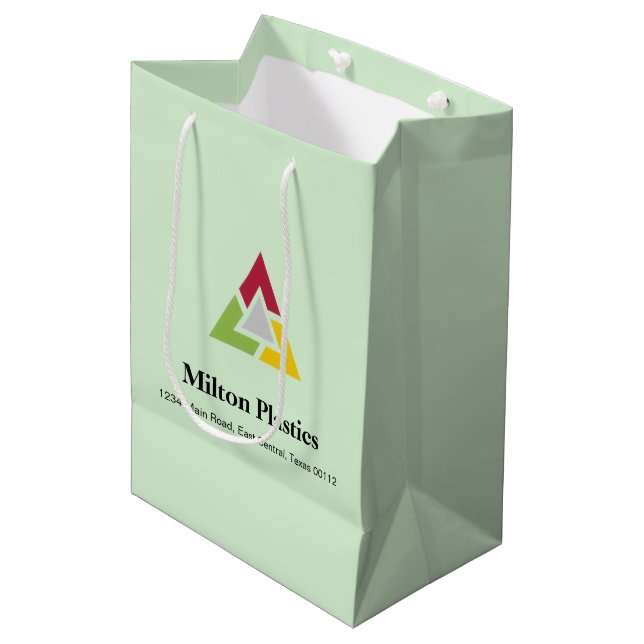 Sacola Para Presentes Média Corporate Gift Bag with Company Logo (Frente inclinada)