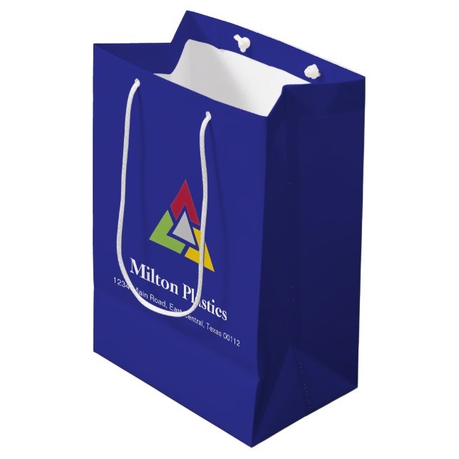 Sacola Para Presentes Média Corporate Gift Bag with Company Logo (Frente inclinada)