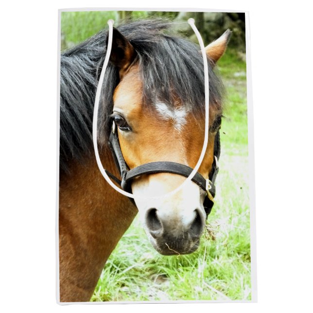 SACOLA PARA PRESENTES MÉDIA CUTE BROWN PONY (Frente)