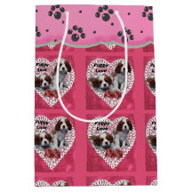 Dia de os namorados Cavalier King Charles Spaniel