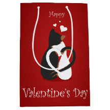 Dois gatos apaixonados