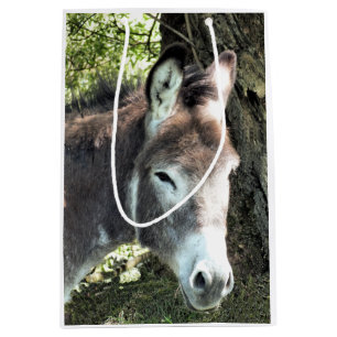 SACOLA PARA PRESENTES MÉDIA DONKEY