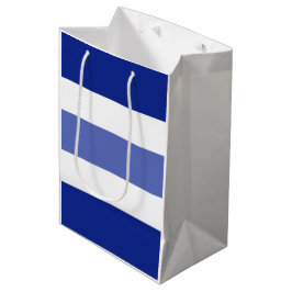 Sacola Para Presentes Média Duas faixas de tons