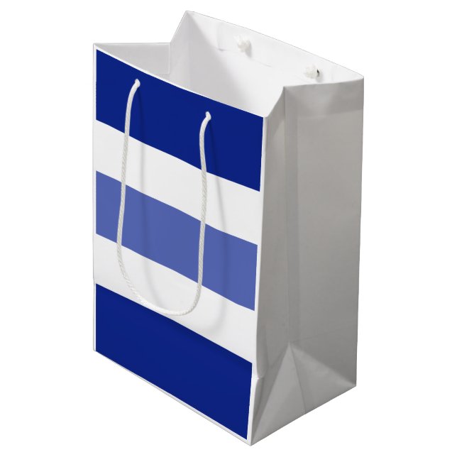 Sacola Para Presentes Média Duas faixas de tons (Frente inclinada)