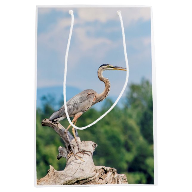 Sacola Para Presentes Média Excelente Blue Heron (Frente)