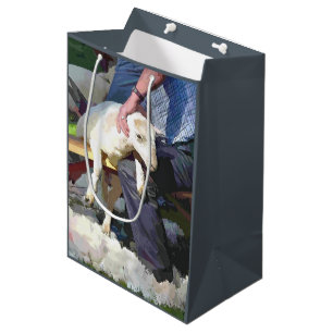 SACOLA PARA PRESENTES MÉDIA EXPLORAÇÃO