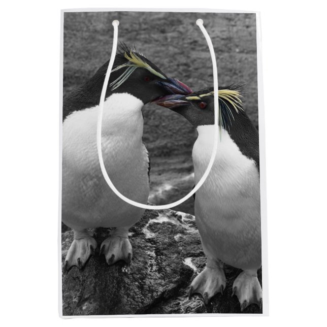 Sacola Para Presentes Média Explosão de Cor de Pinguim (Frente)