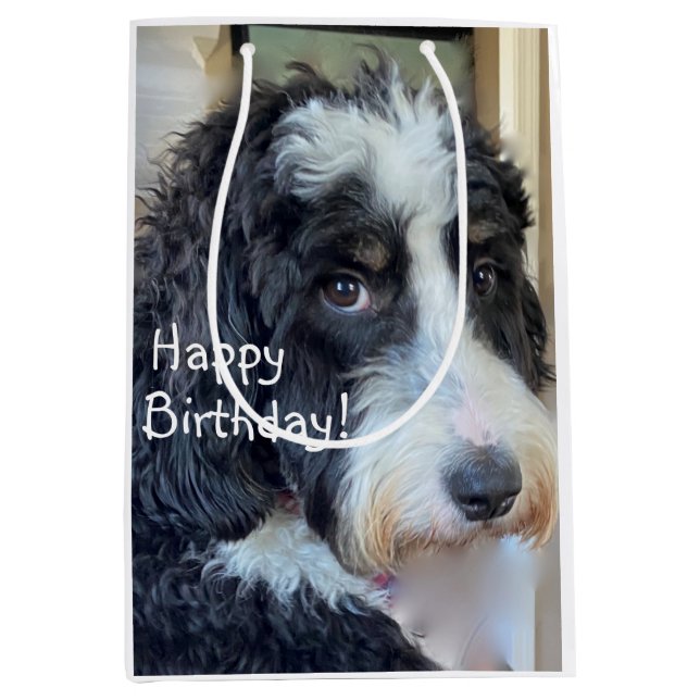 Sacola Para Presentes Média Feliz Aniversário Adorável Bernedoodle (Frente)