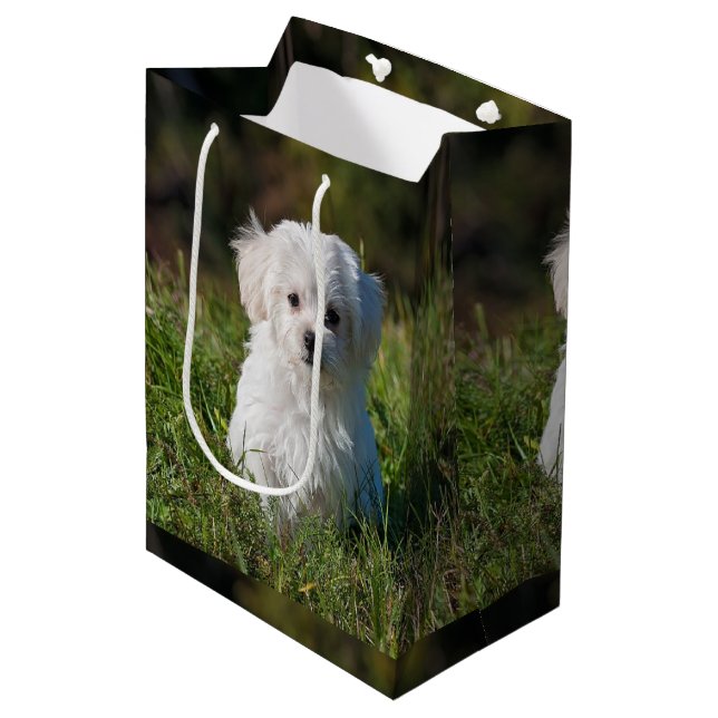 Sacola Para Presentes Média Filhote branco fofo (Frente inclinada)