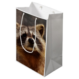 Sacola Para Presentes Média Foto curiosa do Raccoon