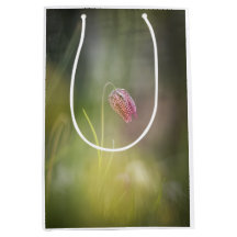 Foto da Natureza da Flor