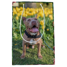 Sacola Para Presentes Média Fotografia de Pitbull Feliz com Flores