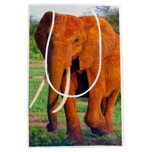 Sacola Para Presentes Média Fotografia do Elefante Africano Adulto
