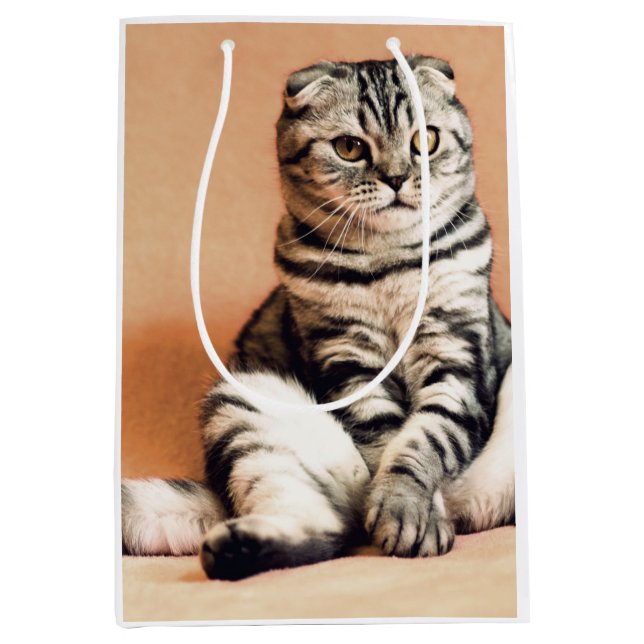 Sacola Para Presentes Média Gatinho Bonito Desenterrado (Frente)