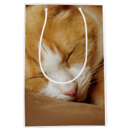 Sacola Para Presentes Média Gatinho Dormindo