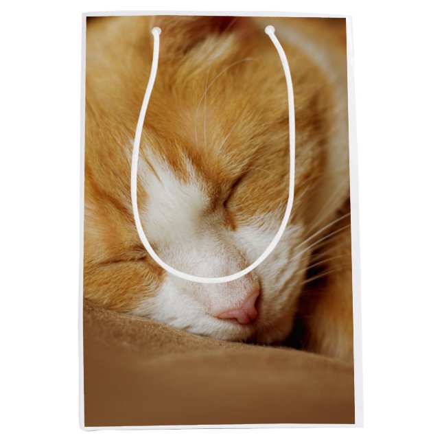 Sacola Para Presentes Média Gatinho Dormindo (Frente)