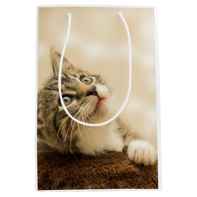 Sacola Para Presentes Média Gatinho Fofo com uma Pata Estimulada (Frente)