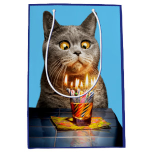 Sacola Para Presentes Média Gato Com Vidro De Aniversário