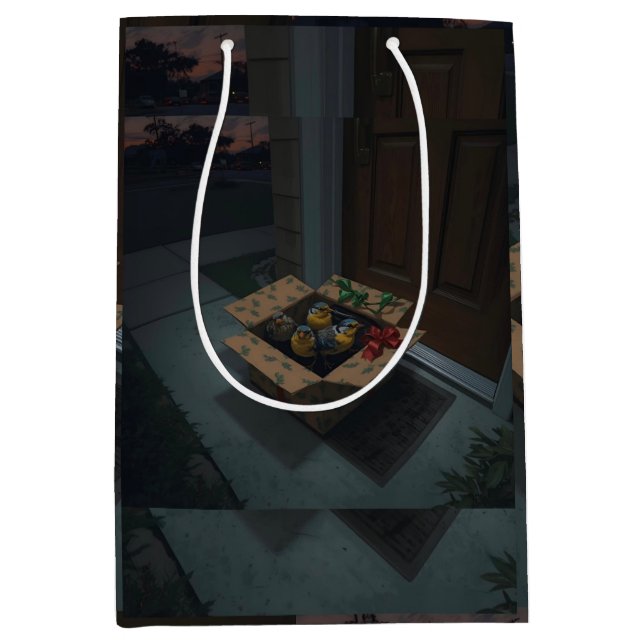 Sacola Para Presentes Média Gift Bag (Frente)