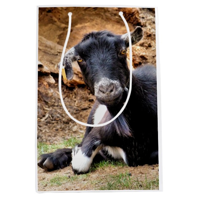 SACOLA PARA PRESENTES MÉDIA GOTA (Frente)