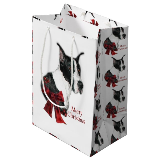 Sacola Para Presentes Média Grande Natal de Dane (Frente inclinada)