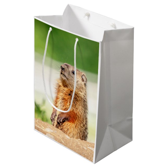 Sacola Para Presentes Média Groundhog novo (Frente inclinada)