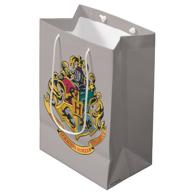 Sacola Para Presentes Média Harry Potter | Brasão de Hogwarts - Cor Completa (Frente inclinada)