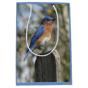 Sacola Para Presentes Média Homem brilhante do Bluebird