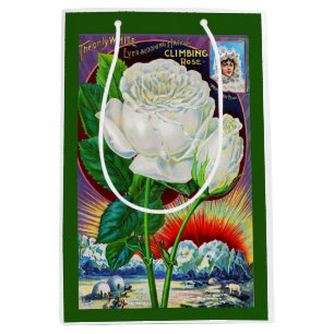 Sacola Para Presentes Média Ilustração do catálogo de rosa de 1890 White Ro