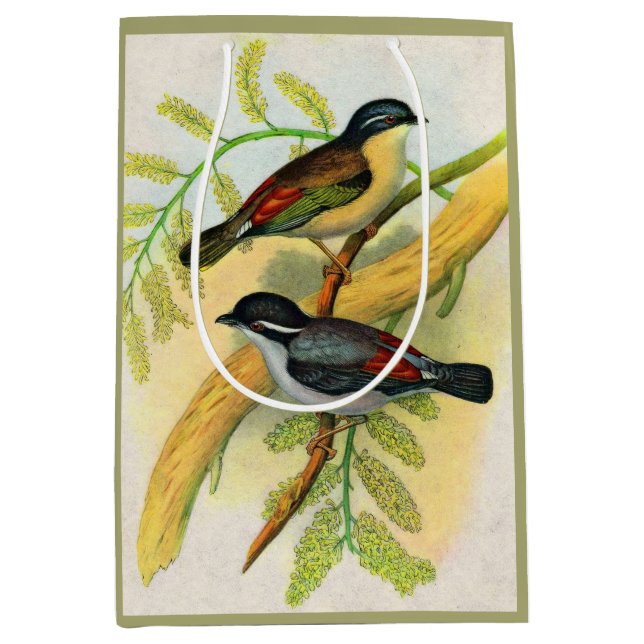 Sacola Para Presentes Média impressão de aves bonito (Frente)