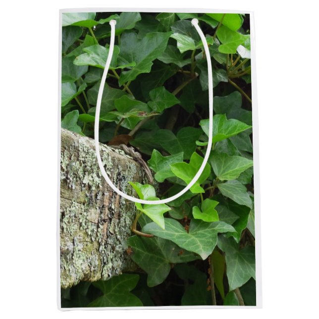 Sacola Para Presentes Média Ivy e Lichens - Martha's Vineyard (Frente)