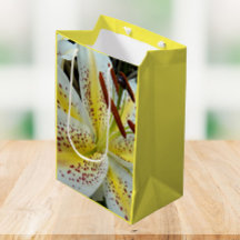 Lily oriental branca com amido amarelo