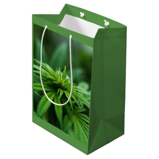Sacola Para Presentes Média Linda planta (Verso inclinado)
