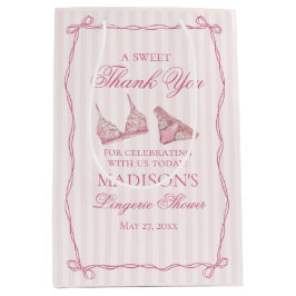 Sacola Para Presentes Média Lingerie Rosa Favor de festa de despedida de solte