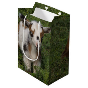 Sacola Para Presentes Média Miúdo De Cabra Níger Flashi