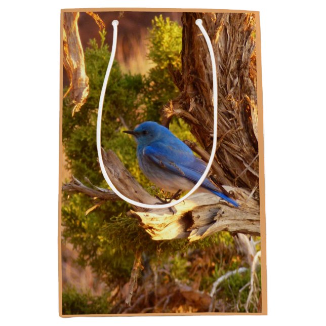 Sacola Para Presentes Média Mountain Bluebird at Arches National Park (Frente)