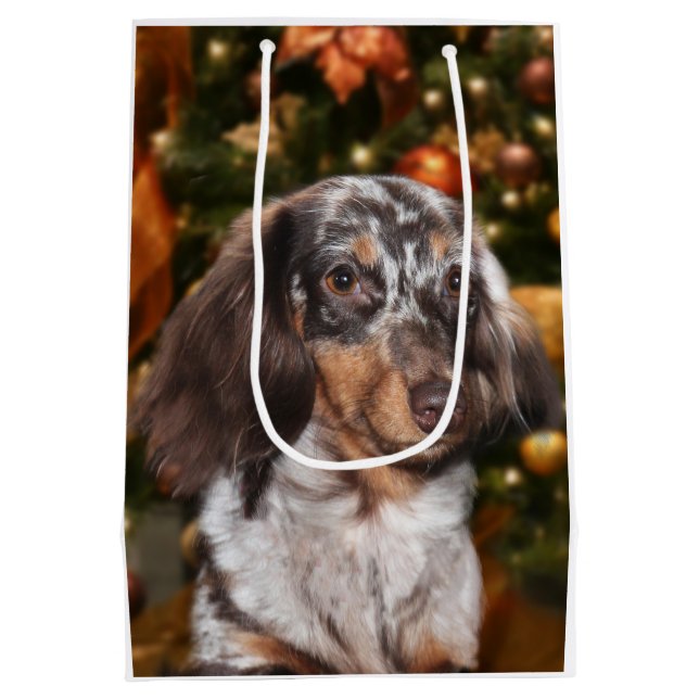 Sacola Para Presentes Média Natal Dappled do Dachshund (Verso)