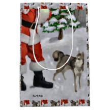 Natal de Klee Kai